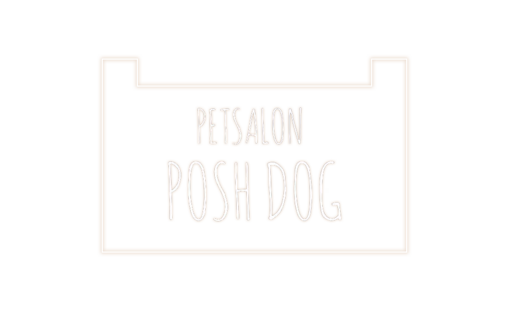PETSALON POSH DOG