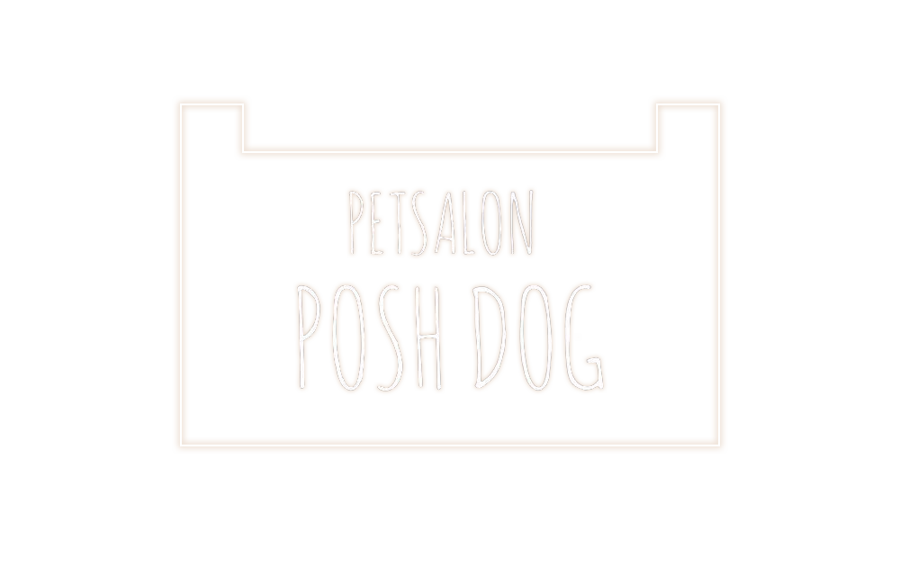 Petsalon Posh Dog 静岡市葵区のトリミングサロン